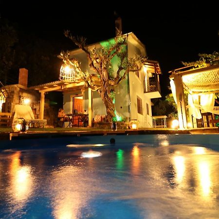 Fakistra'S Blue House Villa Tsagarada Exterior photo